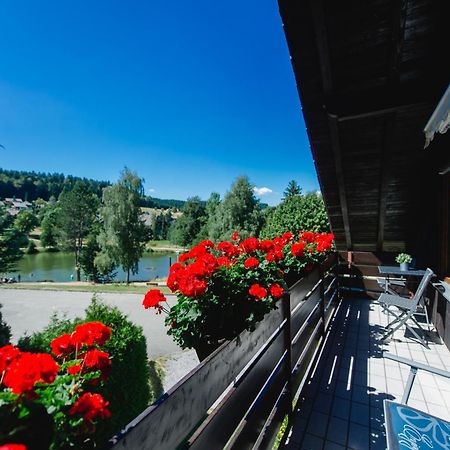 Ferienwohnungen Am Skilift Herrischried Екстериор снимка