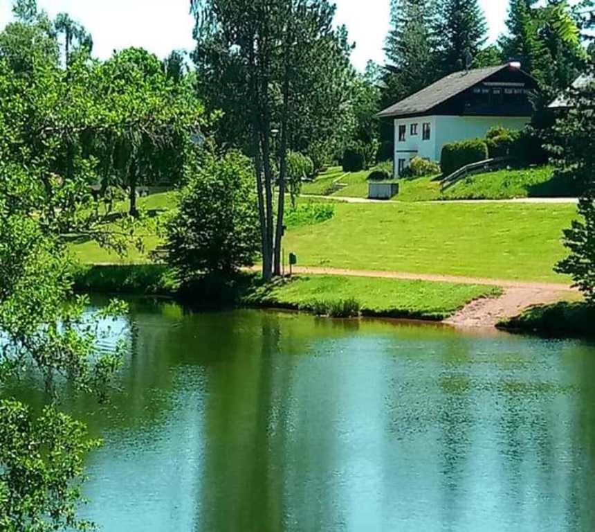 Ferienwohnungen Am Skilift Herrischried Екстериор снимка