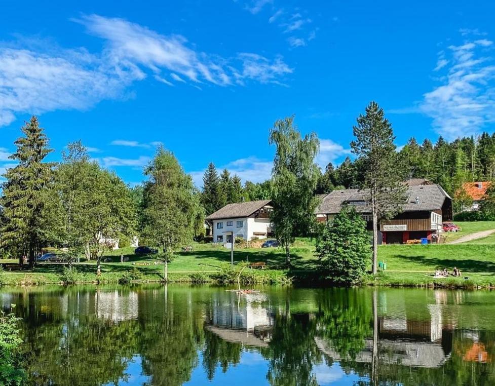 Ferienwohnungen Am Skilift Herrischried Екстериор снимка