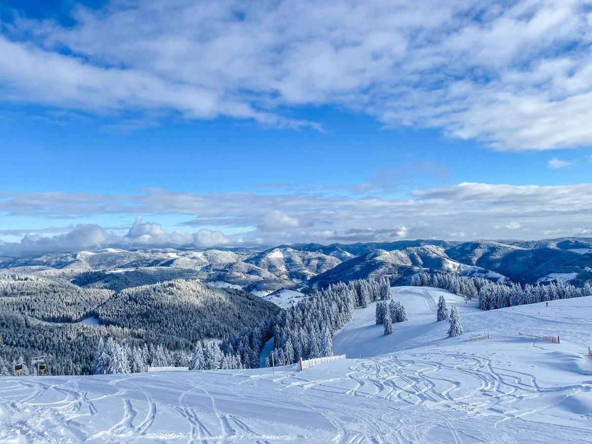 Ferienwohnungen Am Skilift Herrischried Екстериор снимка