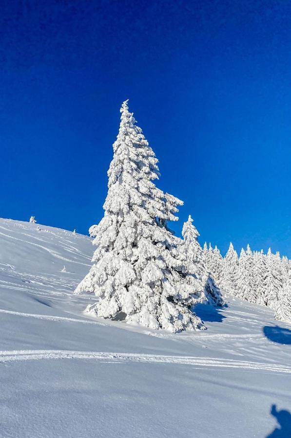 Ferienwohnungen Am Skilift Herrischried Екстериор снимка