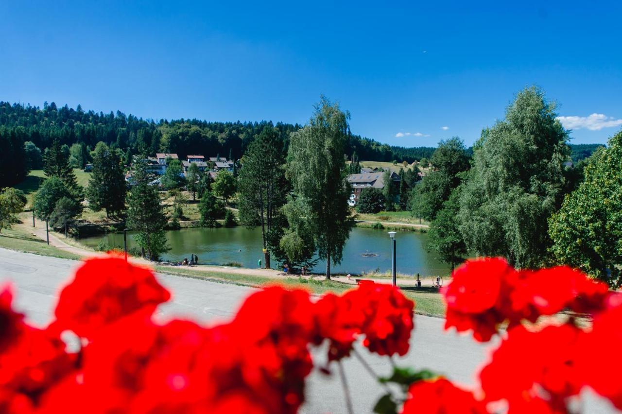Ferienwohnungen Am Skilift Herrischried Екстериор снимка