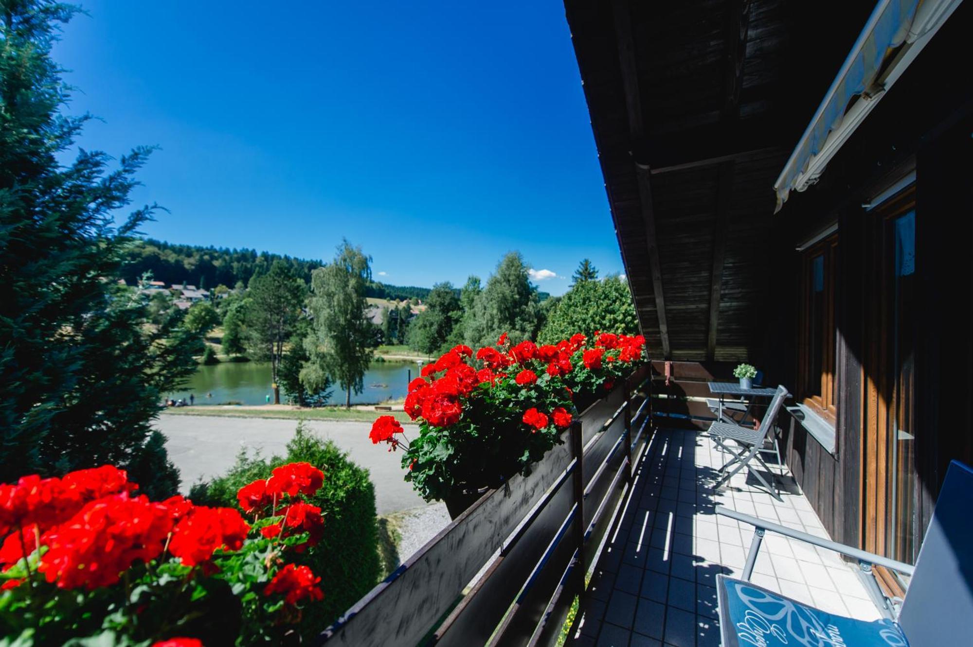 Ferienwohnungen Am Skilift Herrischried Екстериор снимка