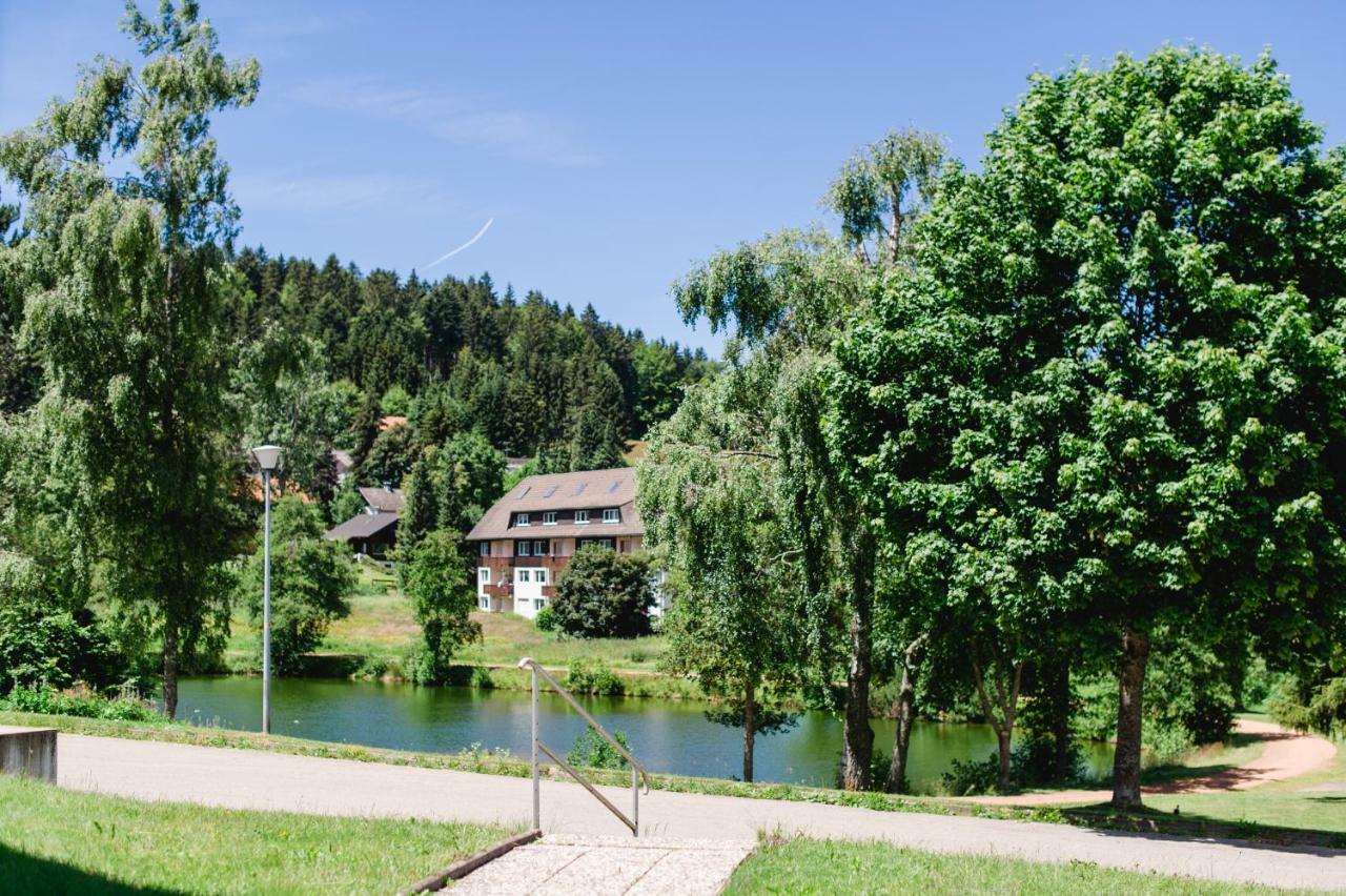 Ferienwohnungen Am Skilift Herrischried Екстериор снимка