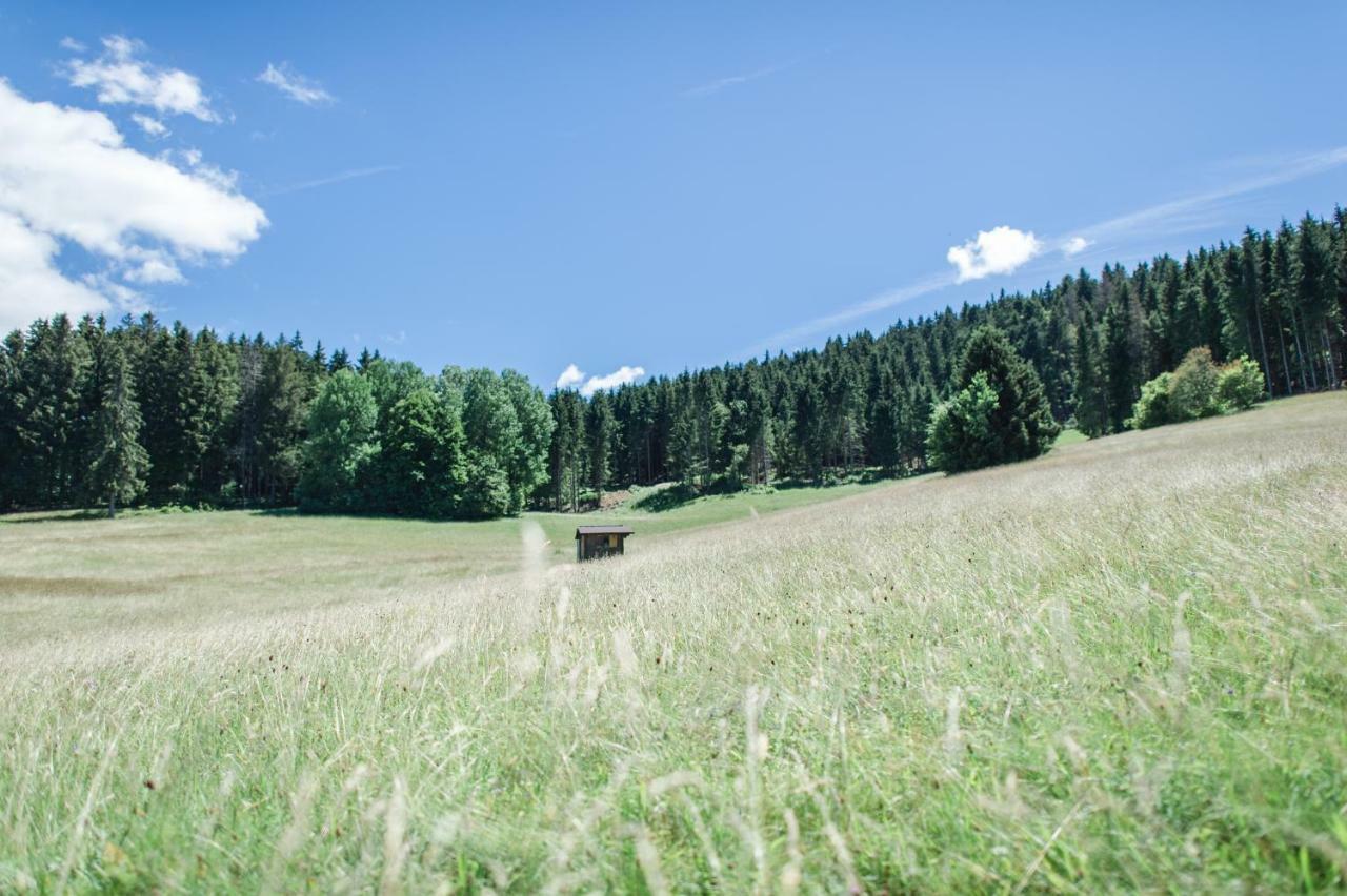 Ferienwohnungen Am Skilift Herrischried Екстериор снимка