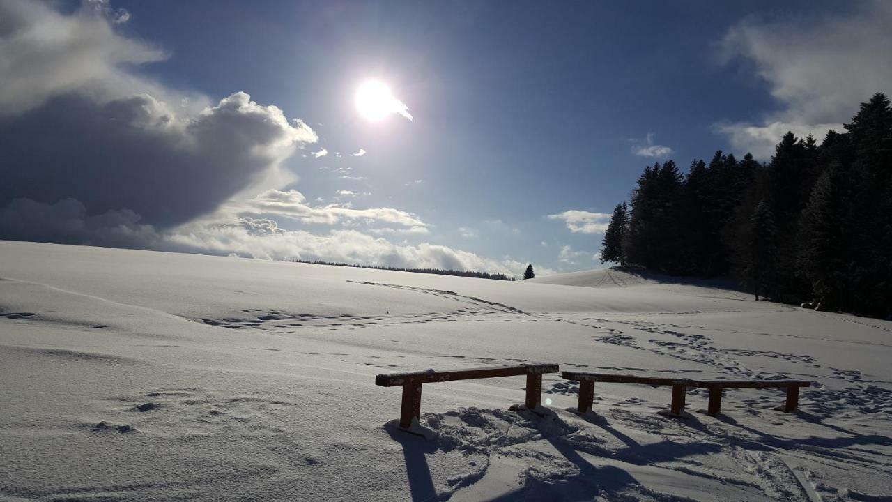 Ferienwohnungen Am Skilift Herrischried Екстериор снимка