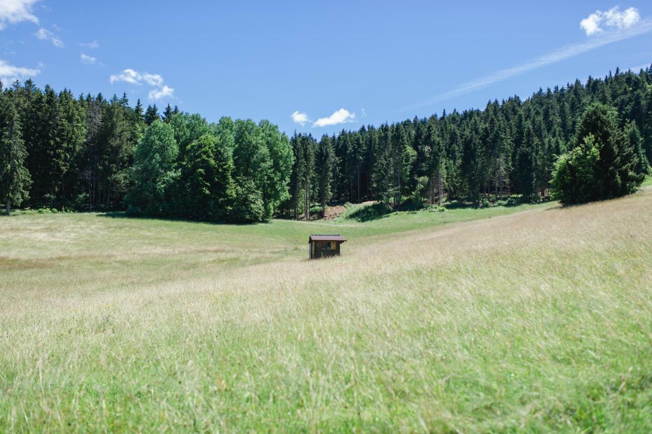Ferienwohnungen Am Skilift Herrischried Екстериор снимка