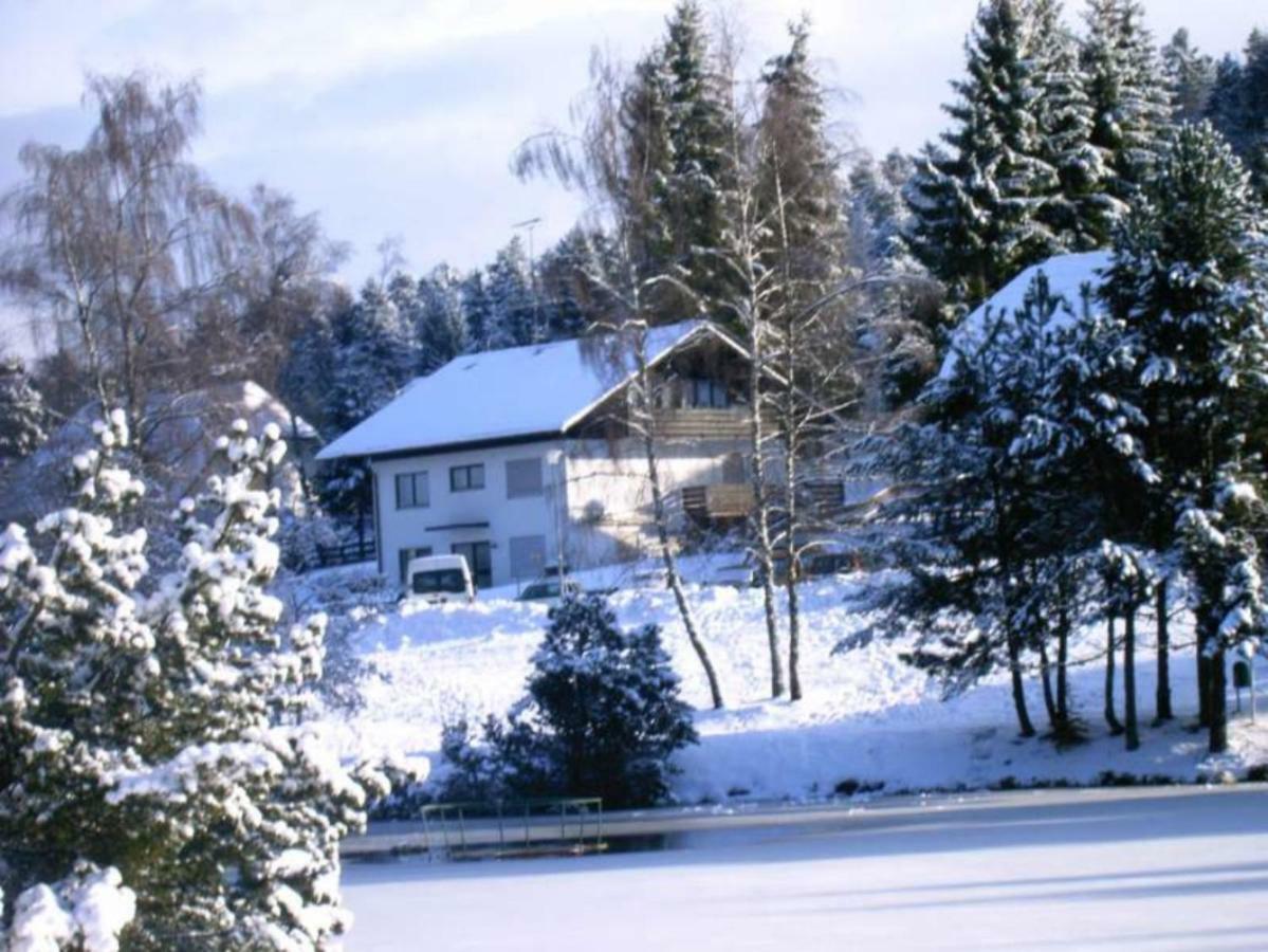 Ferienwohnungen Am Skilift Herrischried Екстериор снимка