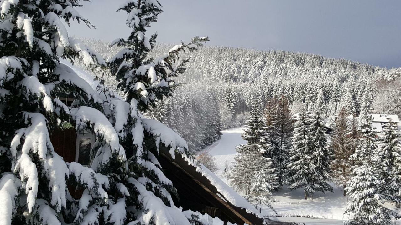 Ferienwohnungen Am Skilift Herrischried Екстериор снимка